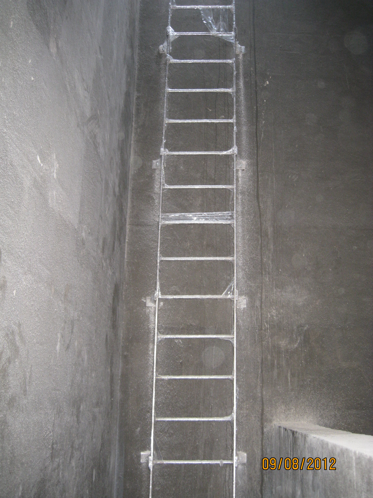 Step runge & ladder